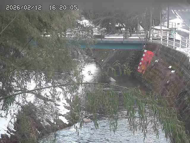 土師川３2026/02/12 18:50:00