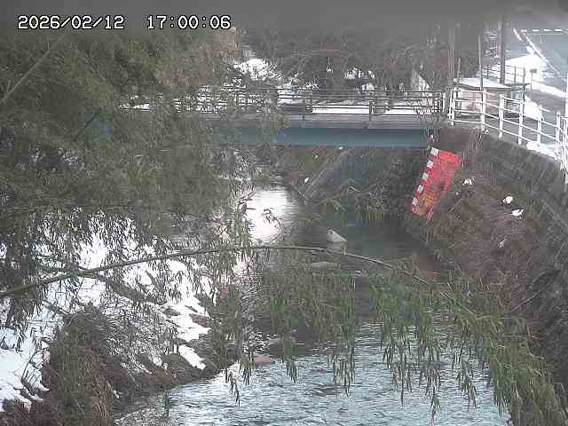 土師川３2026/02/12 18:50:00