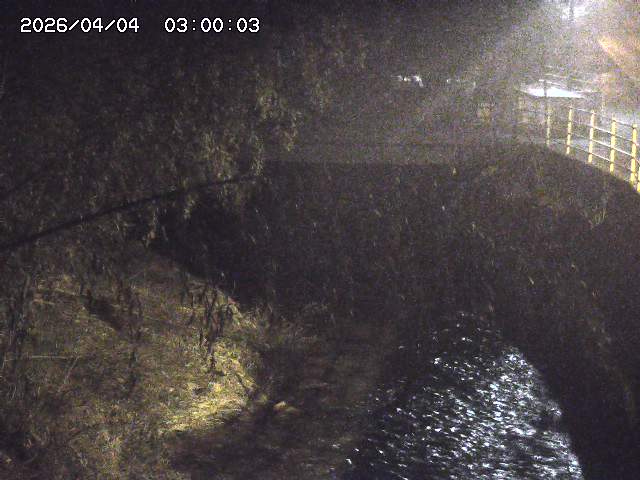 土師川３2026/04/05 3:30:00