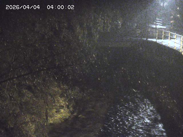 土師川３2026/04/05 3:30:00