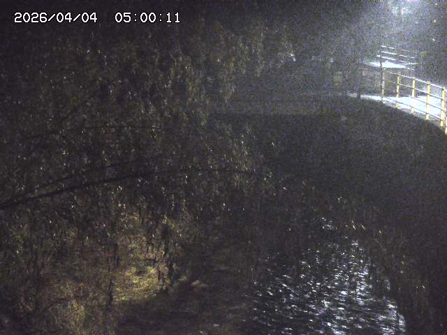 土師川３2026/04/05 3:30:00