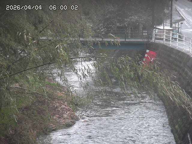 土師川３2026/04/05 3:30:00