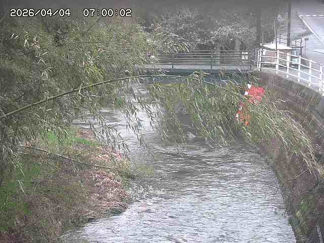 土師川３2026/04/05 3:30:00