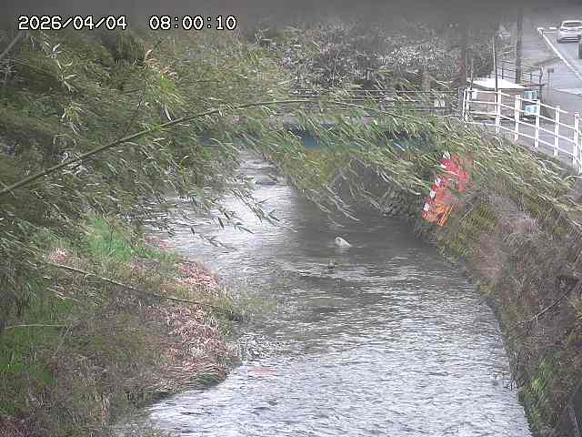 土師川３2026/04/05 3:30:00