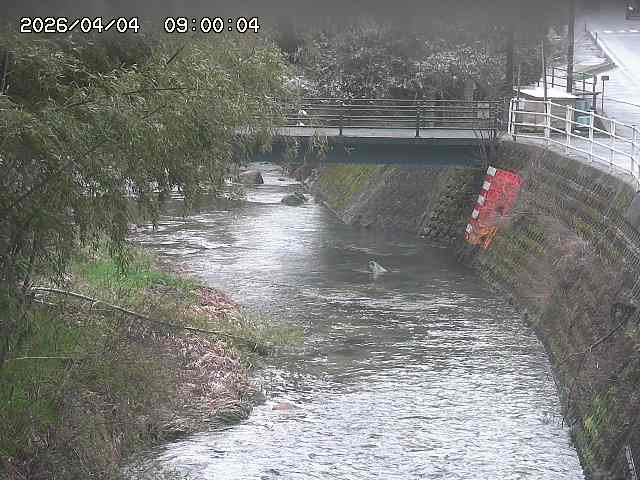 土師川３2026/04/05 3:30:00