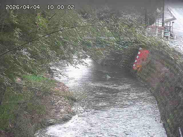 土師川３2026/04/05 3:30:00