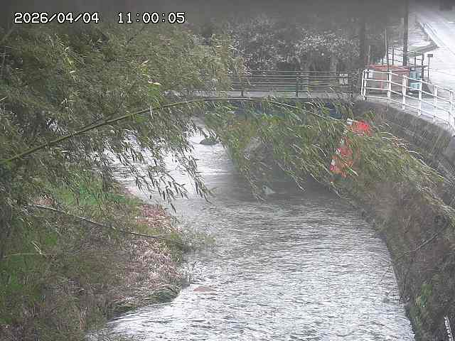 土師川３2026/04/05 3:30:00