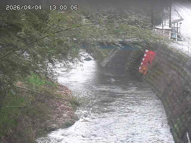 土師川３2026/04/05 3:30:00