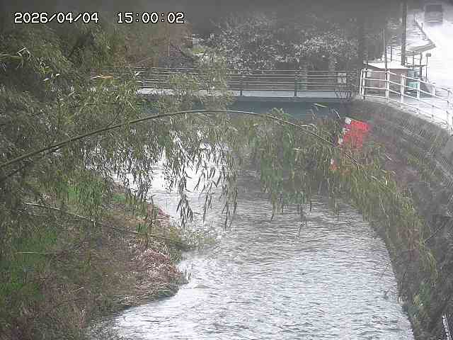 土師川３2026/04/05 3:30:00