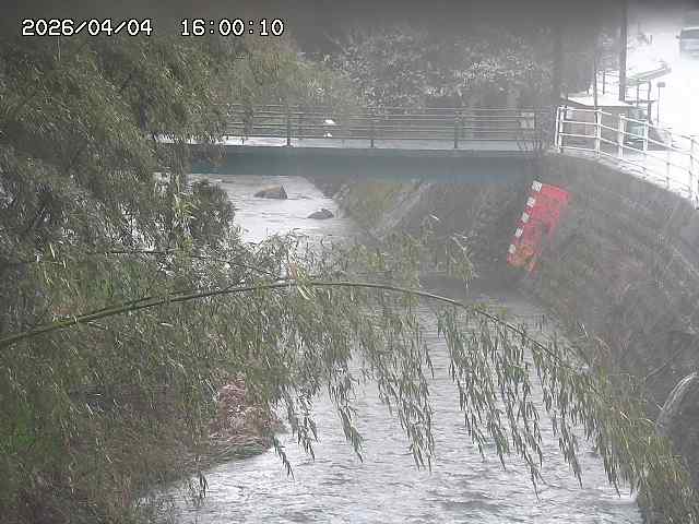 土師川３2026/04/05 3:30:00