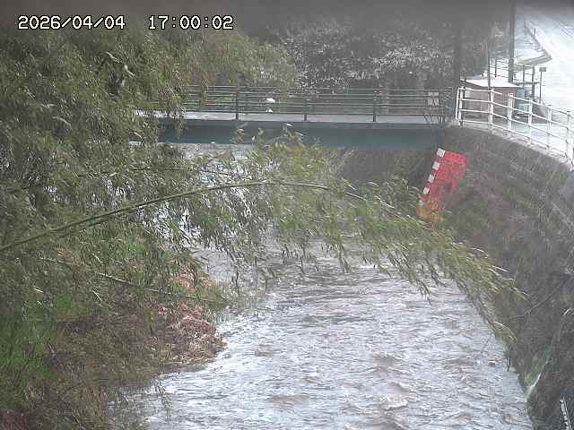 土師川３2026/04/05 3:30:00