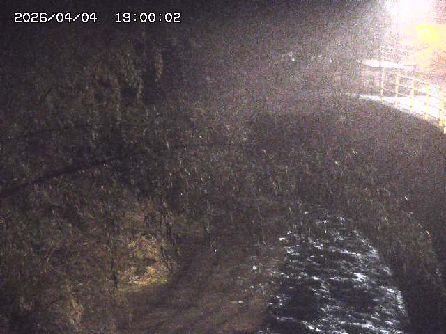 土師川３2026/04/05 3:30:00