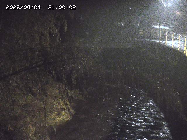 土師川３2026/04/05 3:30:00