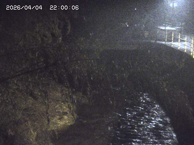 土師川３2026/04/05 3:30:00