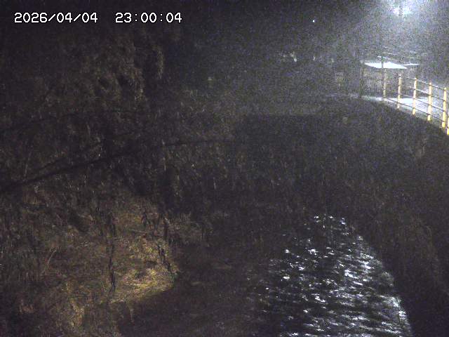 土師川３2026/04/05 3:30:00