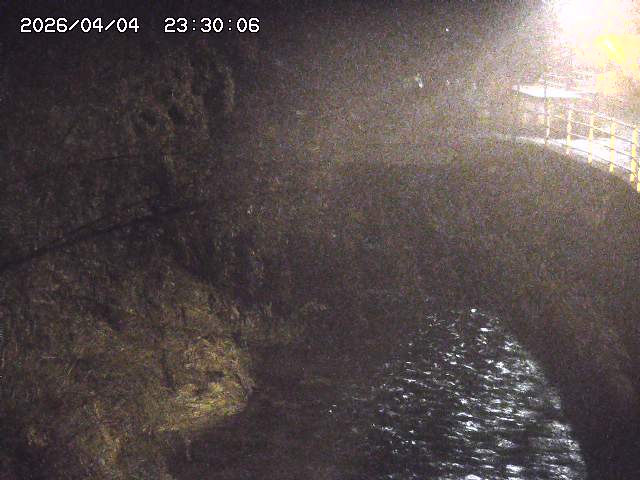 土師川３2026/04/05 3:30:00