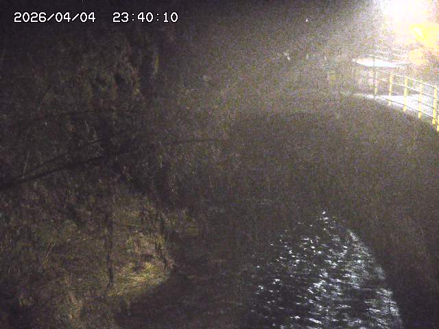 土師川３2026/04/05 3:30:00