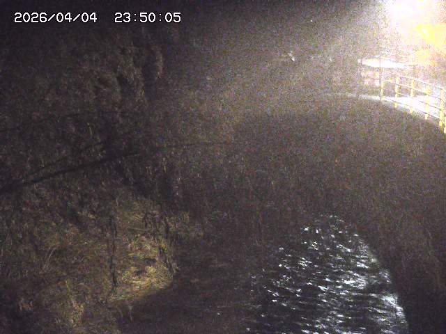 土師川３2026/04/05 3:30:00