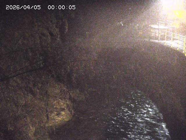 土師川３2026/04/05 3:30:00