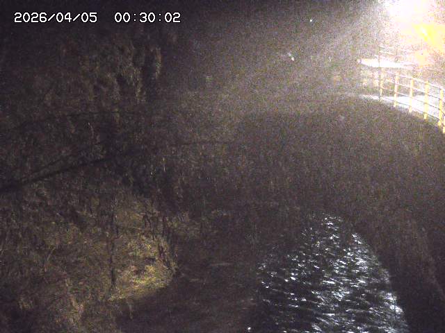 土師川３2026/04/05 3:30:00