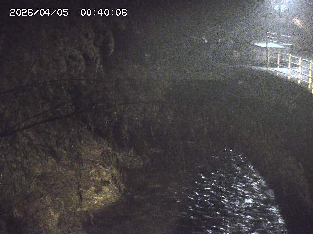 土師川３2026/04/05 3:30:00