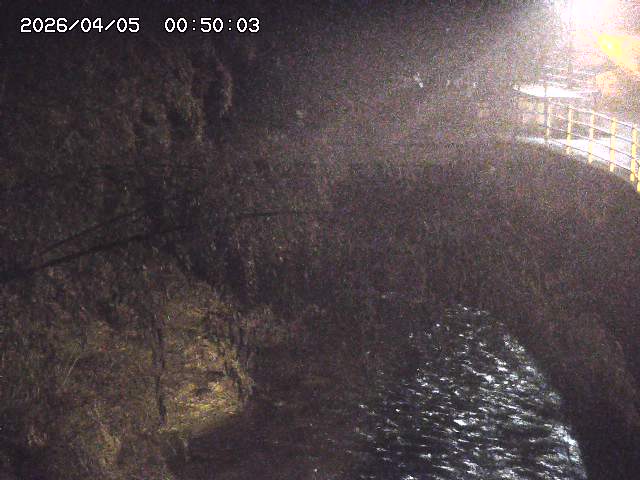 土師川３2026/04/05 3:30:00