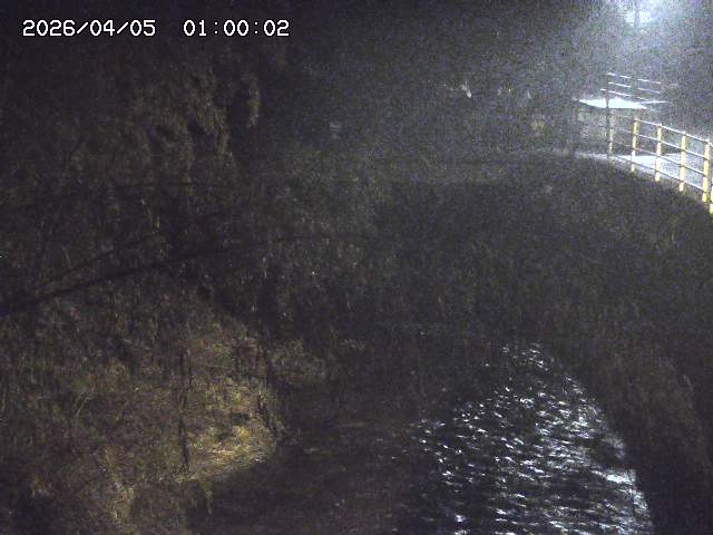 土師川３2026/04/05 3:30:00