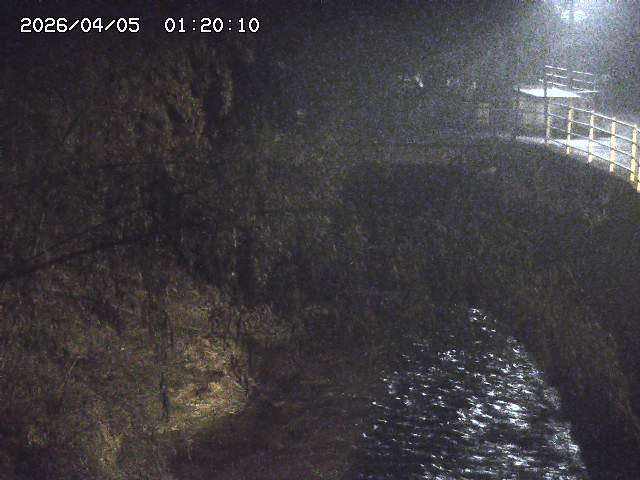 土師川３2026/04/05 3:30:00