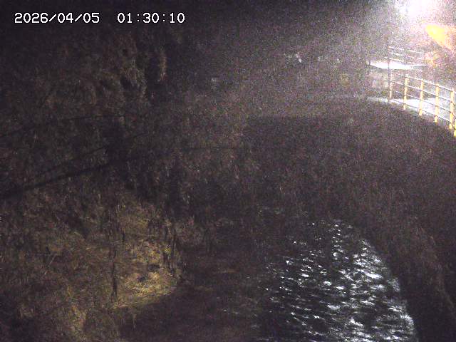 土師川３2026/04/05 3:30:00