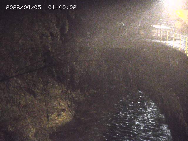 土師川３2026/04/05 3:30:00