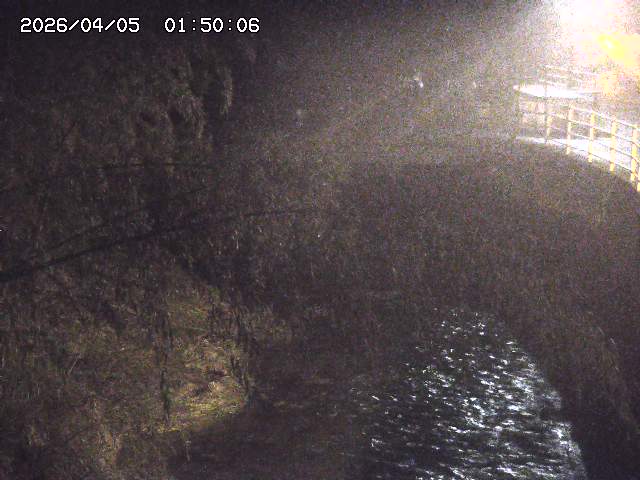 土師川３2026/04/05 3:30:00