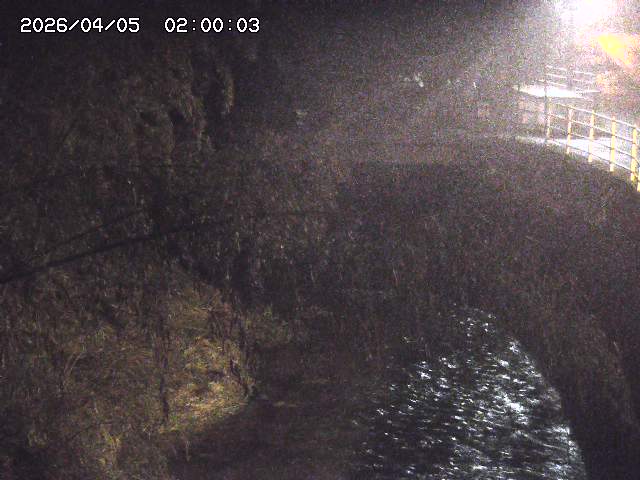 土師川３2026/04/05 3:30:00