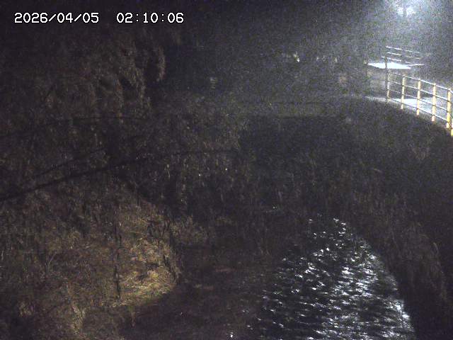 土師川３2026/04/05 3:30:00