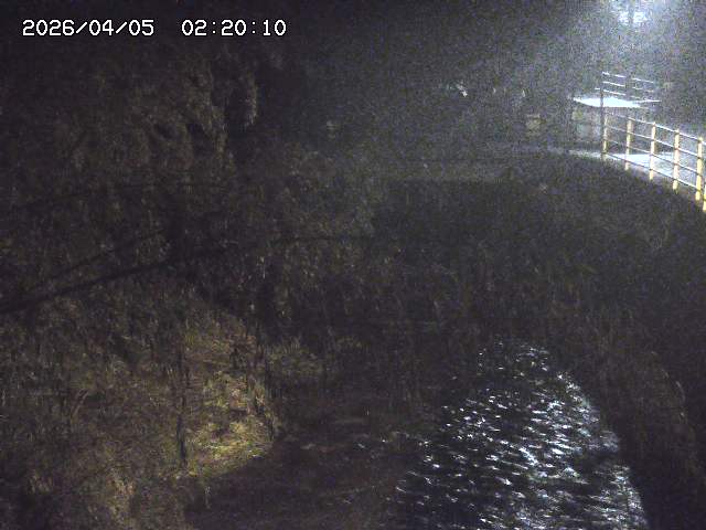 土師川３2026/04/05 3:30:00