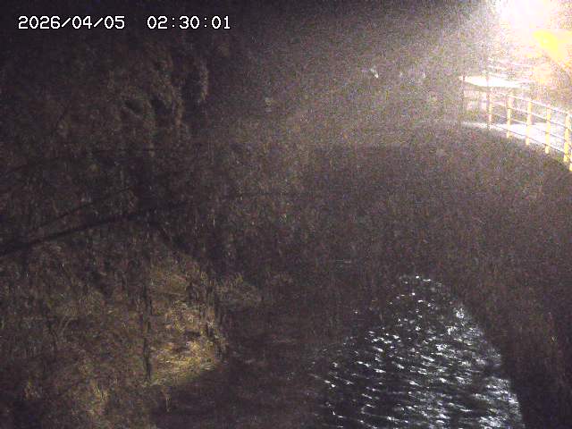 土師川３2026/04/05 3:30:00