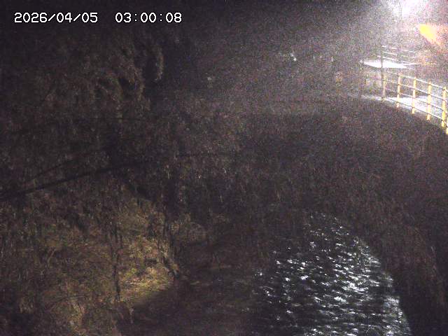 土師川３2026/04/05 3:30:00