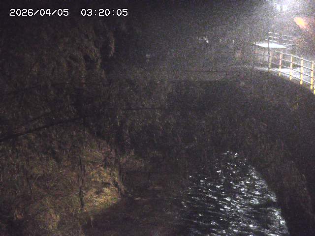 土師川３2026/04/05 3:30:00