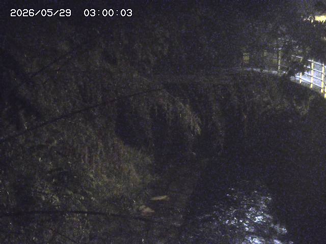 土師川３2026/05/30 3:30:00