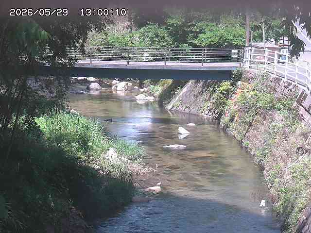 土師川３2026/05/30 3:30:00