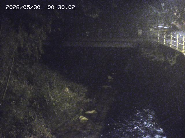 土師川３2026/05/30 3:30:00