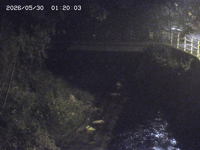 土師川３2026/05/30 3:30:00