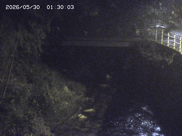 土師川３2026/05/30 3:30:00