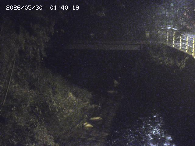 土師川３2026/05/30 3:30:00
