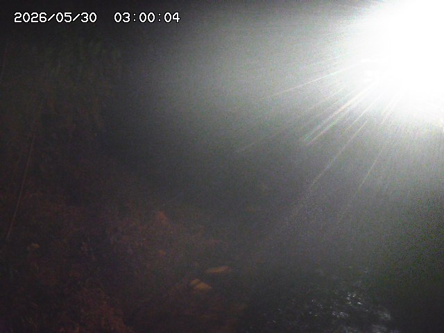 土師川３2026/05/30 3:30:00