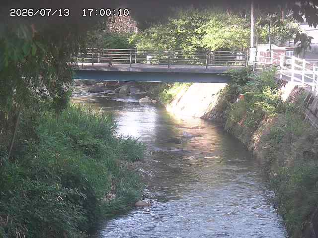 土師川３2026/07/14 15:20:00