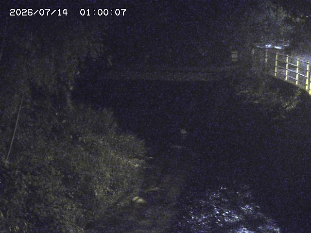土師川３2026/07/14 15:20:00