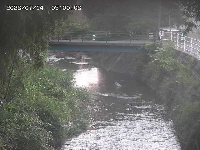 土師川３2026/07/14 15:20:00