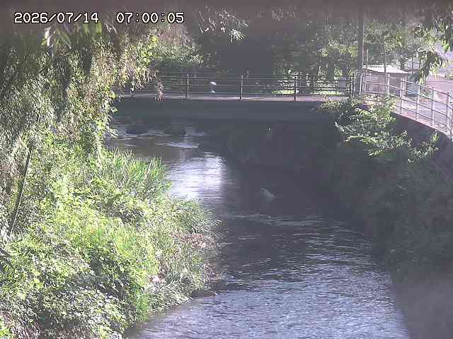 土師川３2026/07/14 15:20:00