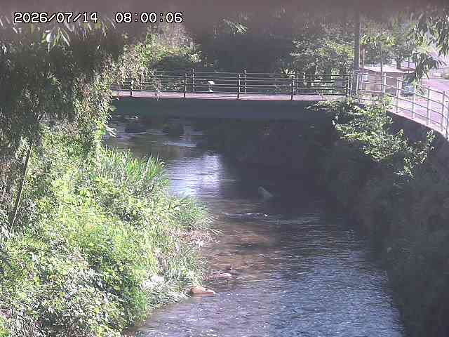 土師川３2026/07/14 15:20:00