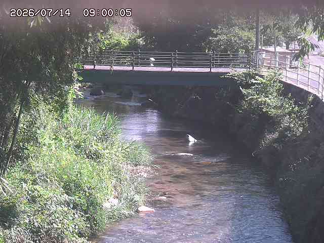 土師川３2026/07/14 15:20:00